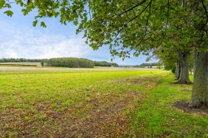 Countryside views- click for photo gallery